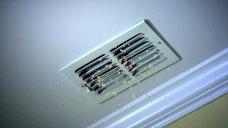 Best Air Duct Mold Removal  in Newport, DE