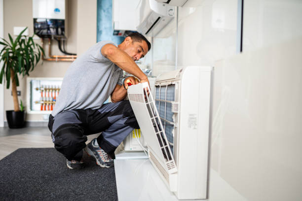 Best Air Duct Mold Removal  in Newport, DE