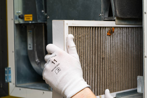 Best Commercial Air Duct Cleaning  in Newport, DE