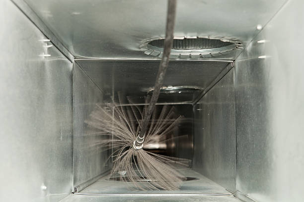 Air Duct Mold Removal in Newport, DE